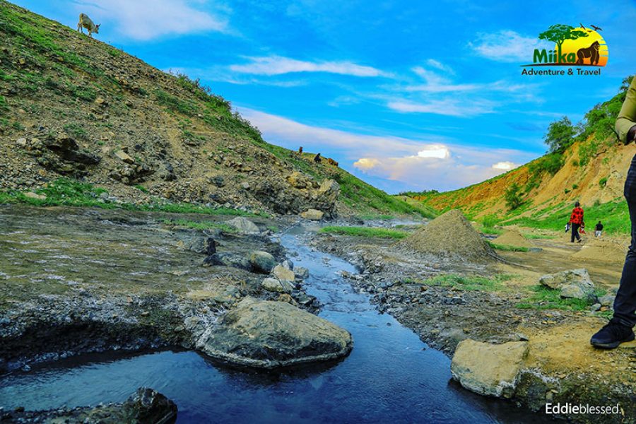 Ultimate Uganda Adventure (10 Days)