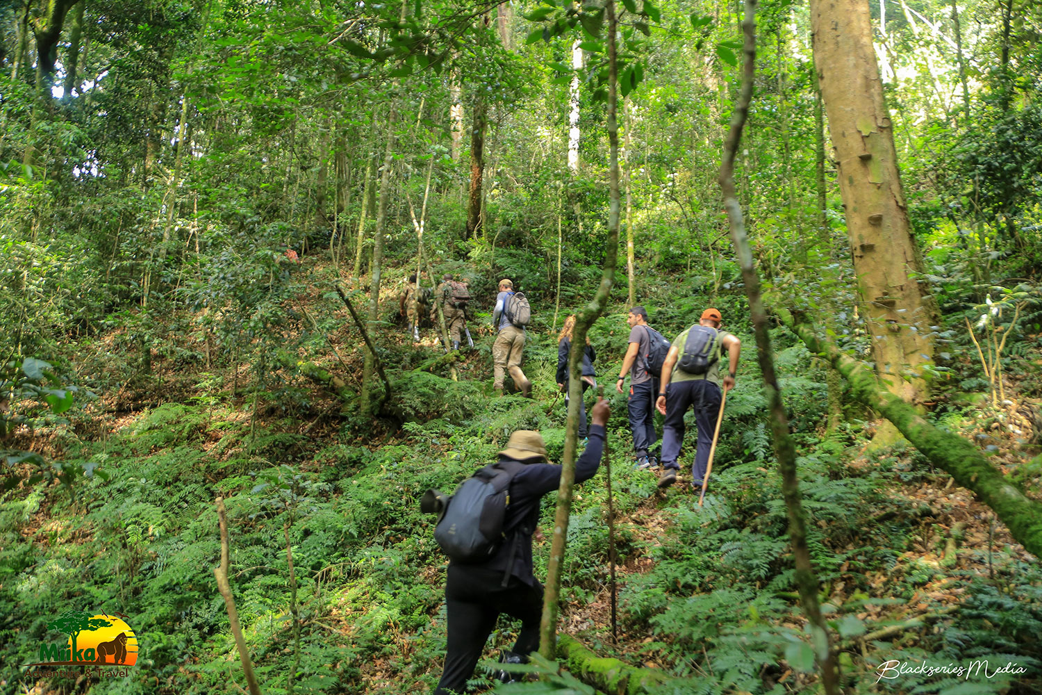 Bwindi