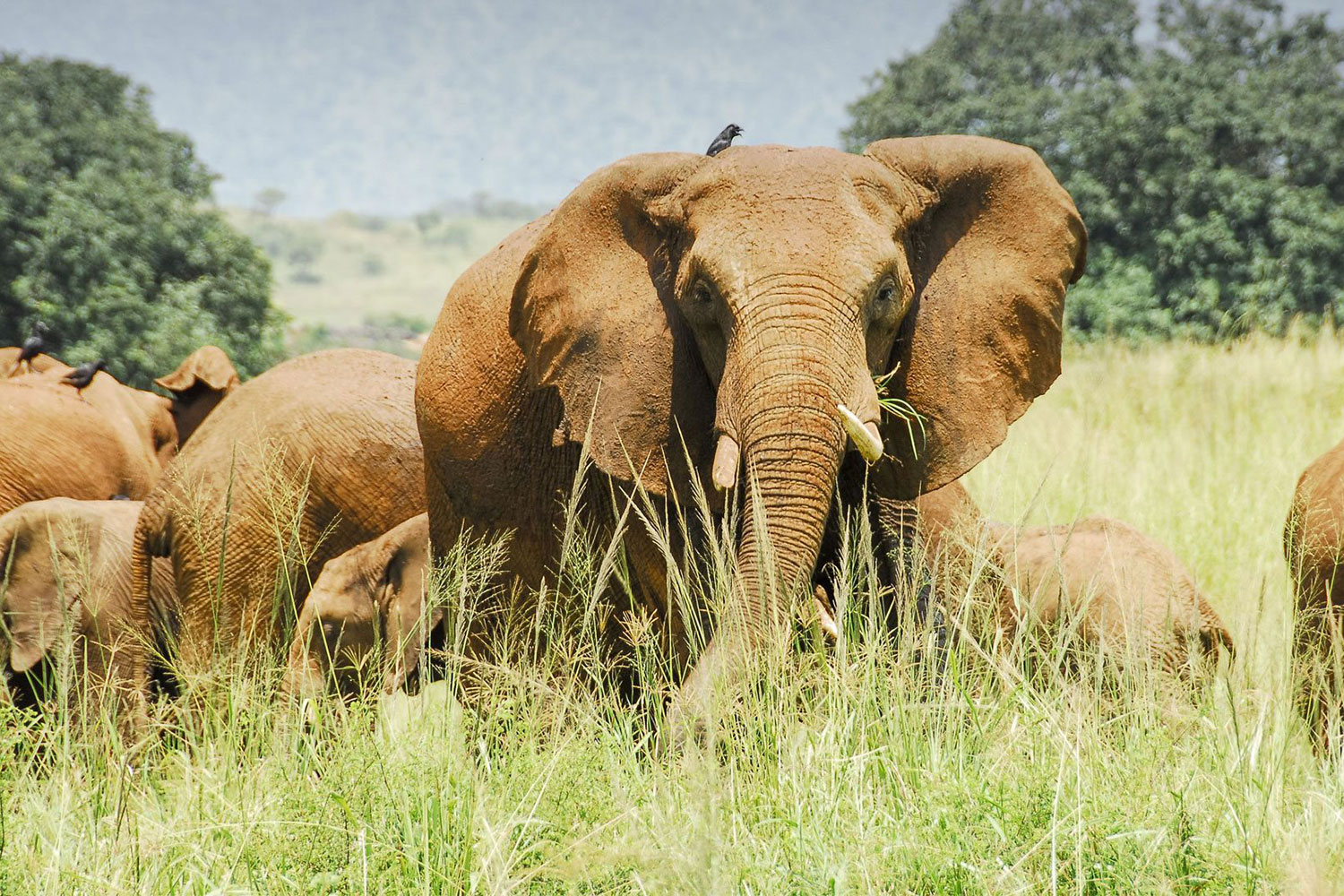 Kidepo National Park