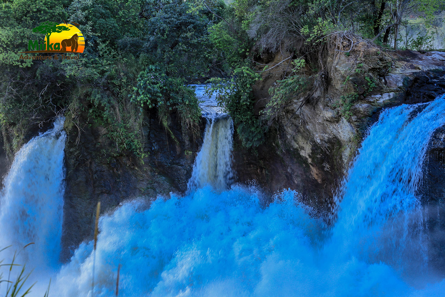 Murchison Falls National Park